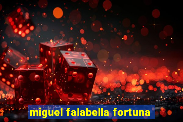 miguel falabella fortuna