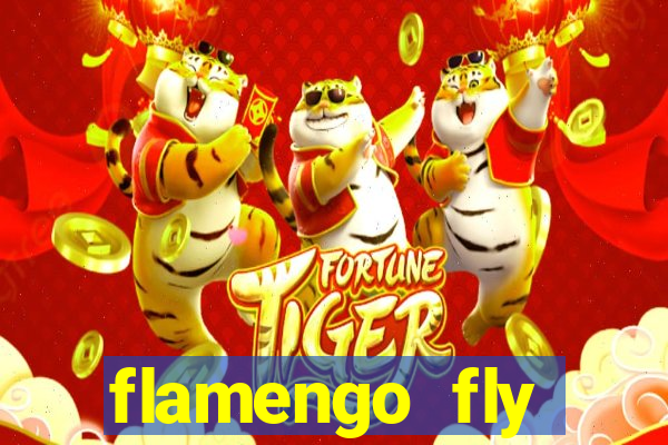 flamengo fly emirates ultimas noticias