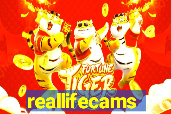 reallifecams