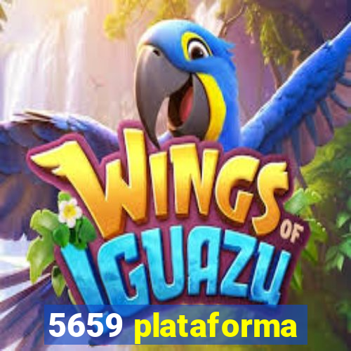 5659 plataforma