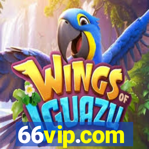 66vip.com