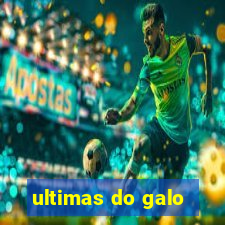 ultimas do galo