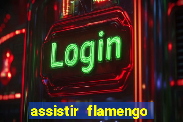 assistir flamengo futebol play hd