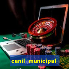 canil municipal porto alegre