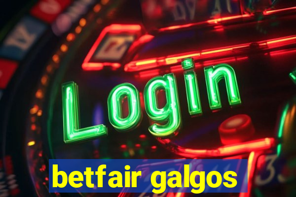 betfair galgos