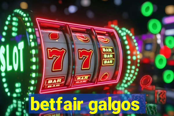 betfair galgos