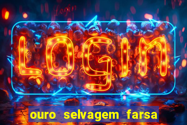 ouro selvagem farsa ouro selvagem o que aconteceu