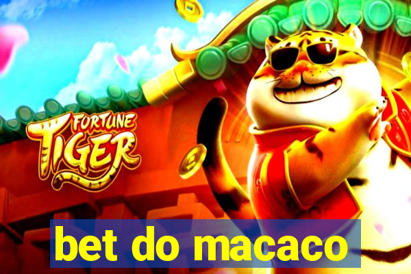 bet do macaco