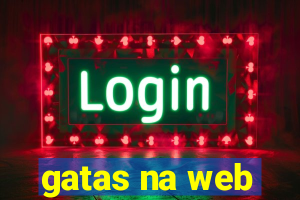 gatas na web