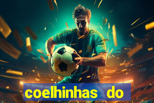 coelhinhas do brasil recife