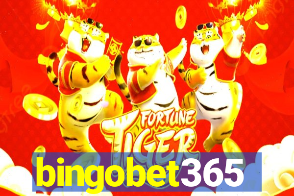 bingobet365