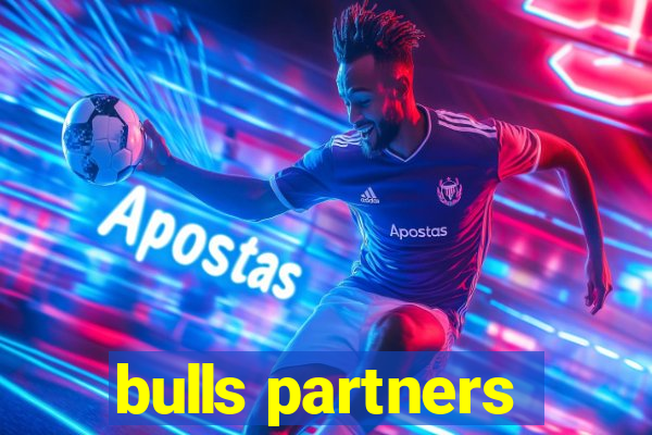 bulls partners