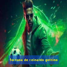 fortuna de reinaldo gottino