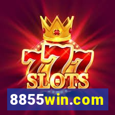 8855win.com