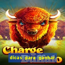 dicas para ganhar no fortune rabbit