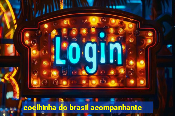 coelhinha do brasil acompanhante