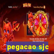 pegacao sjc