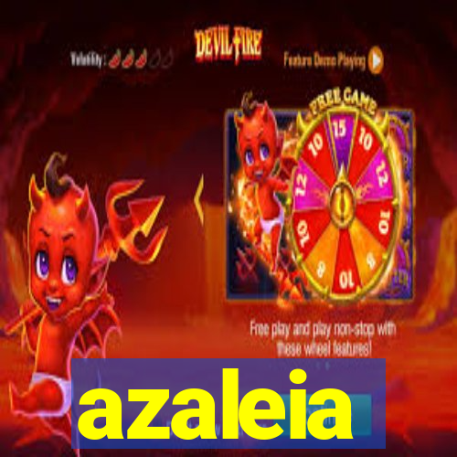 azaleia-br.com