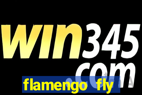 flamengo fly emirates ultimas noticias