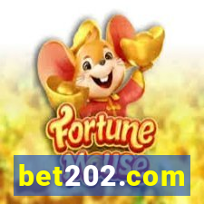 bet202.com