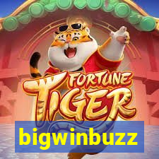 bigwinbuzz