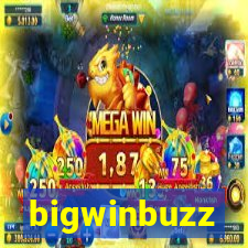 bigwinbuzz