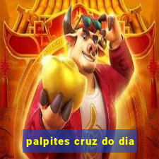 palpites cruz do dia