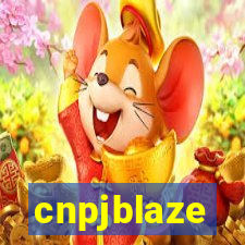 cnpjblaze