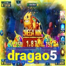 dragao5