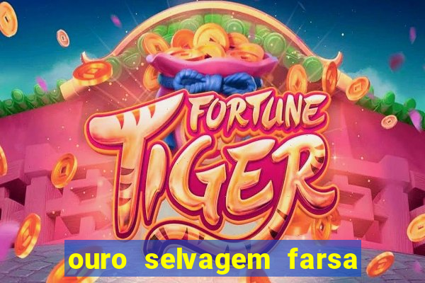 ouro selvagem farsa ouro selvagem o que aconteceu