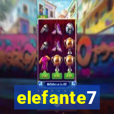 elefante7