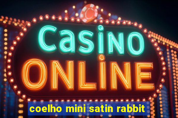 coelho mini satin rabbit