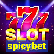 spicybet-3.com