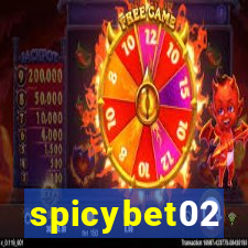 spicybet02