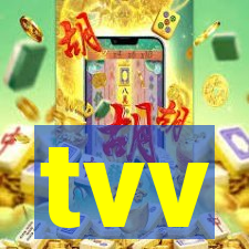 tvv-pg.com