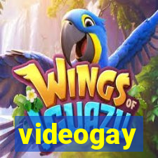 videogay