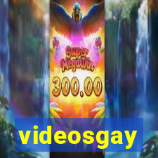 videosgay