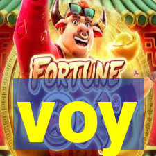 voy-earphonepg.com