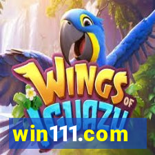 win111.com