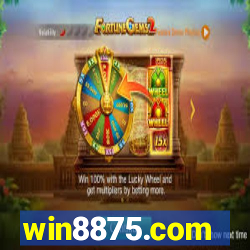 win8875.com