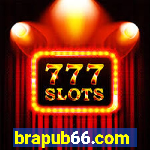 brapub66.com